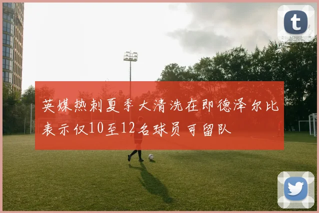 英媒热刺夏季大清洗在即德泽尔比表示仅10至12名球员可留队